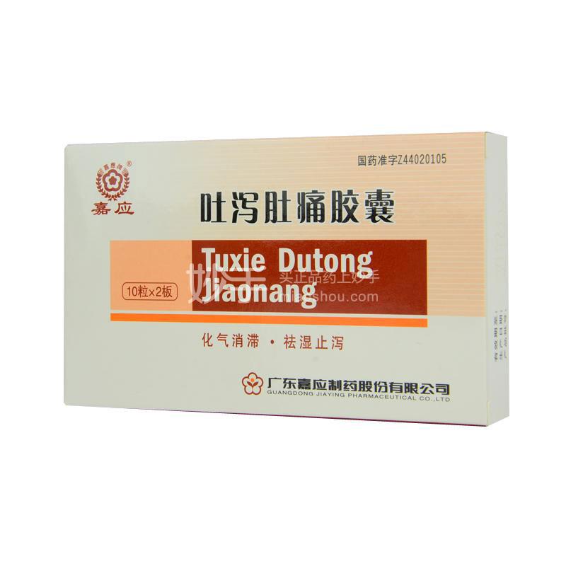 【嘉应】吐泻肚痛胶囊 0.3g*10s*2板