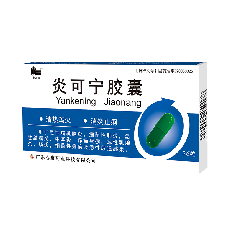 1581576568839599.png 炎可宁胶囊.png